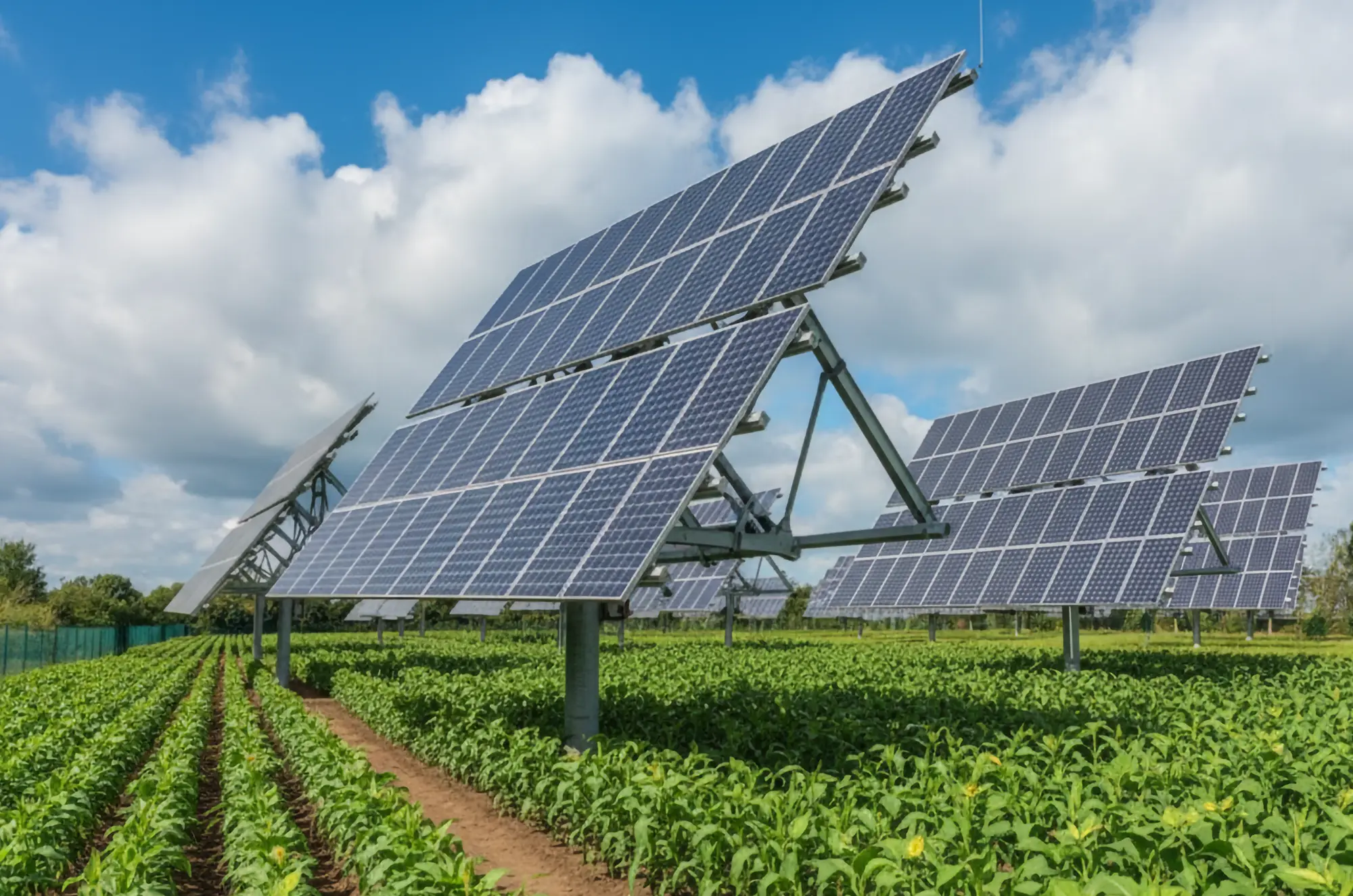 agrivoltaicsc-1 agri voltaic solar farm